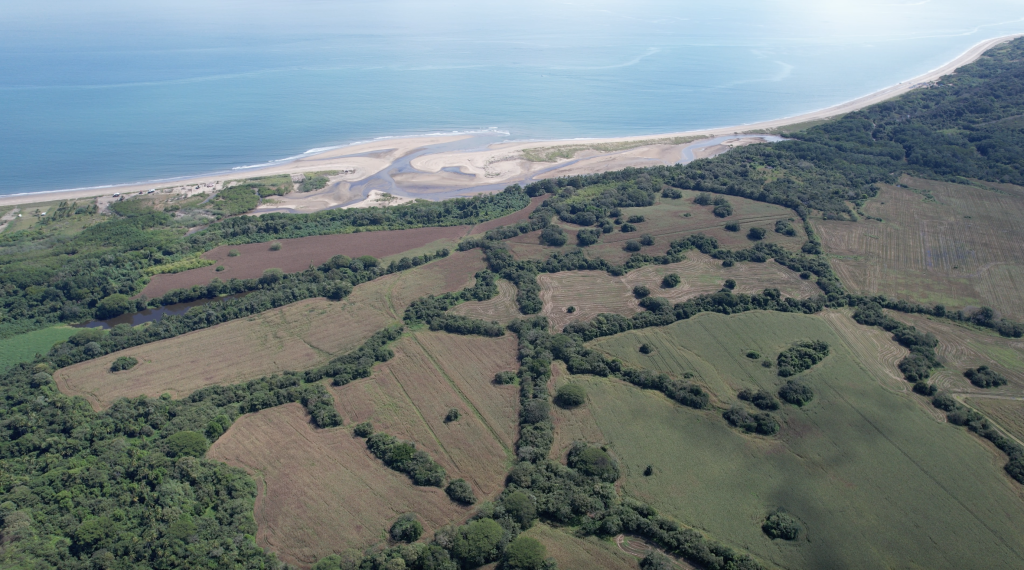 drone view of beachfront property