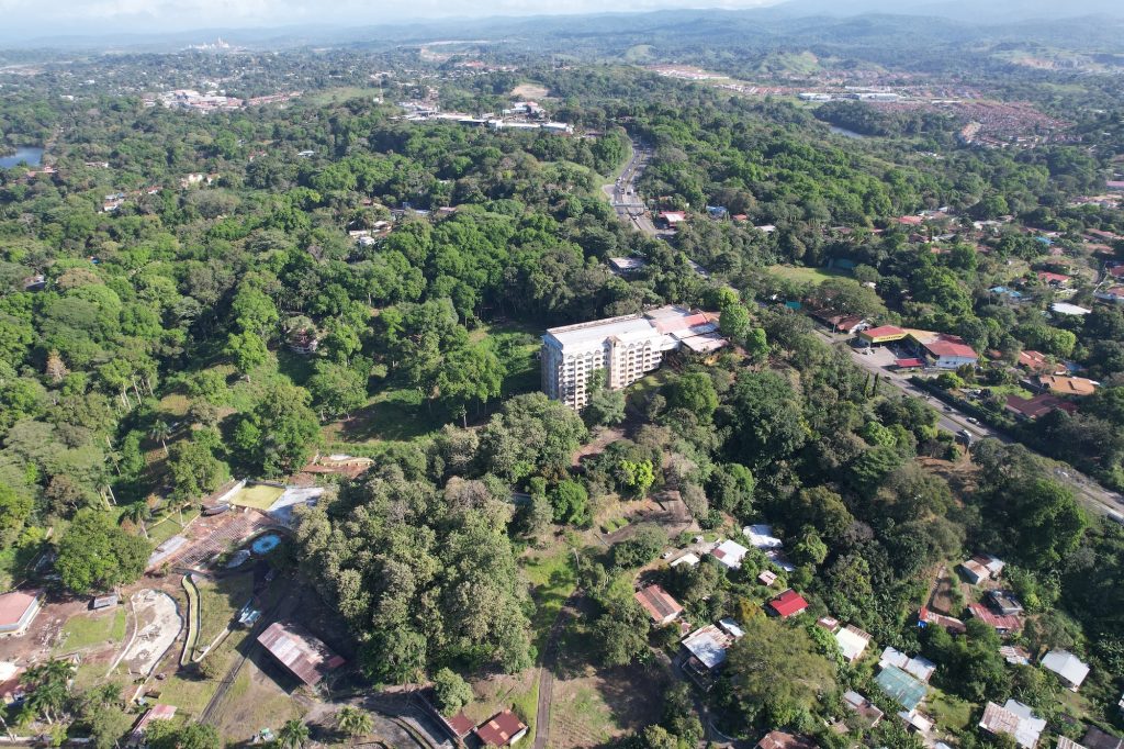 vista area de ciudad y naturaleza