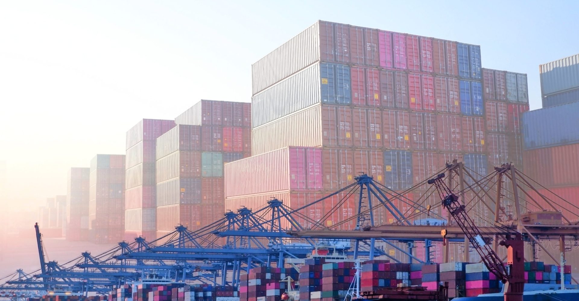 Sea freight logistics network concept